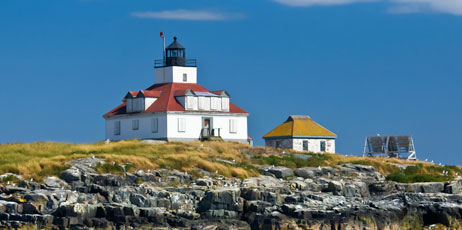 littleny/Shutterstock.com