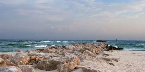Darryl Vest/Shutterstock.com