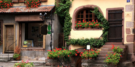 Katarzyna Mazurowska/Shutterstock.com