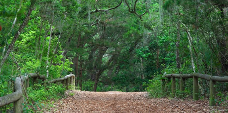 William Silver/Shutterstock.com