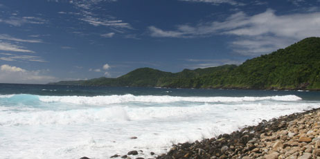 Marci Paravia/Shutterstock.com