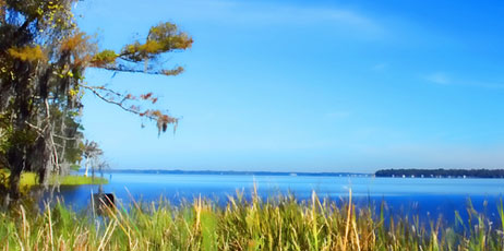 David R Dugle II/Shutterstock.com