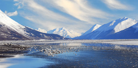 Lone Wolf Photos/Shutterstock.com