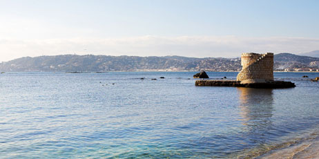 Sean Nel/Shutterstock.com
