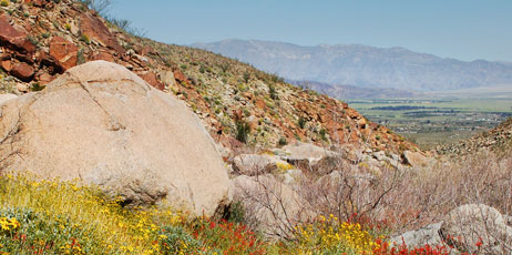 Lowe Llaguno/Shutterstock.com