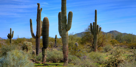 Paul B. Moore/Shutterstock.com