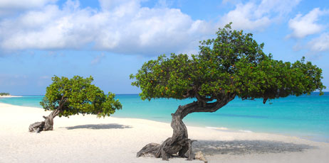 David P. Smith/Shutterstock.com