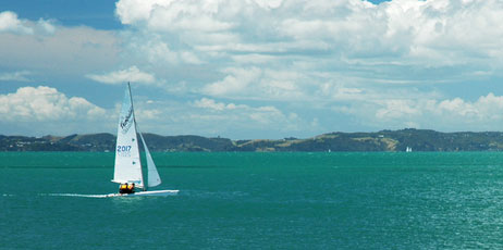 Bryan Rentoul/Shutterstock.com
