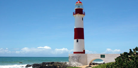 Vinicius Tupinamba/Shutterstock.com 