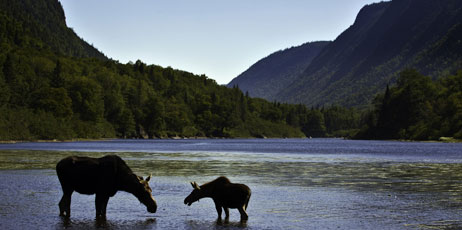 Paul Binet/Shutterstock.com