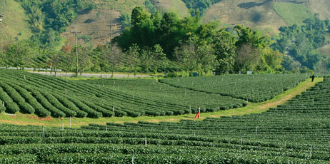 foto76/Shutterstock.com