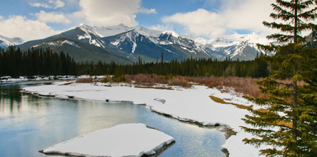 B.G. Smith/Shutterstock.com