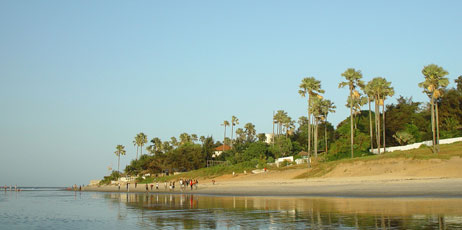 Alan Kraft/Shutterstock.com
