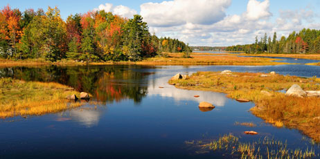 Betty LaRue/Shutterstock.com