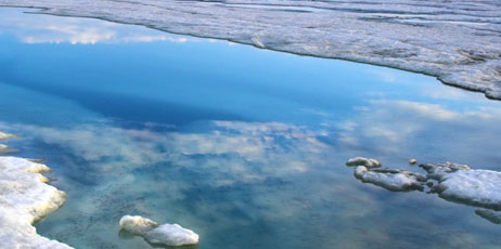 George Burba/Shutterstock.com