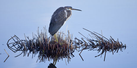 John Wollwerth/Shutterstock.com