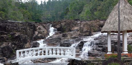bumihills/Shutterstock.com