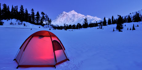 Lijuan Guo/Shutterstock.com