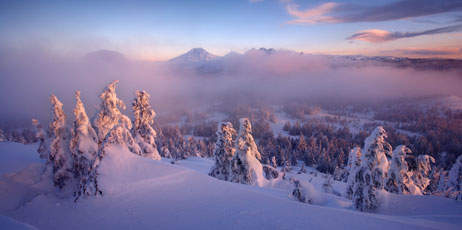 zschnepf/Shutterstock.com