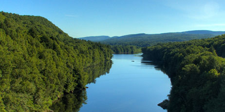 David Schnerch/Shutterstock.com