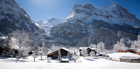 photogl/Shutterstock.com