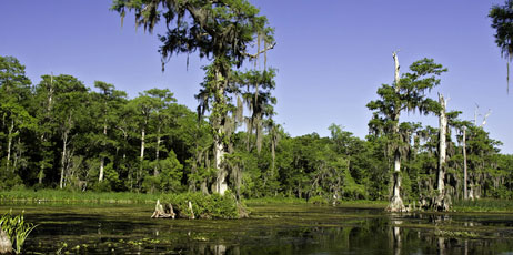 J.M. McDonough/Shutterstock.com