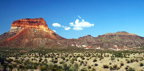 Rusty Dodson/Shutterstock.com