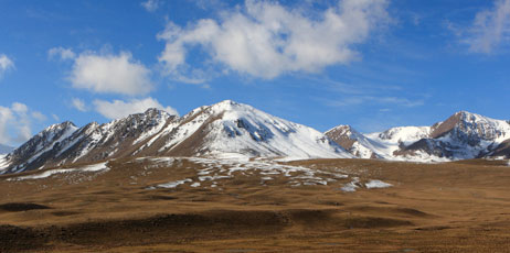Chubykin Arkady/Shutterstock.com