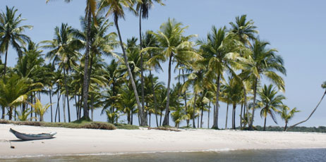 Bitanga8/Shutterstock.com