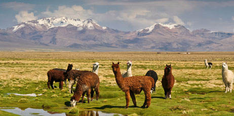 MP cz/Shutterstock.com