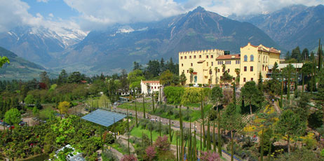 lsantilli/Shutterstock.com
