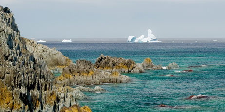 Duncan de Young/Shutterstock.com