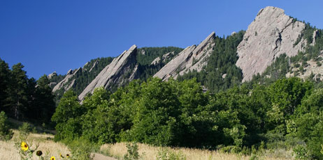 Nelson Sirlin/Shutterstock.com