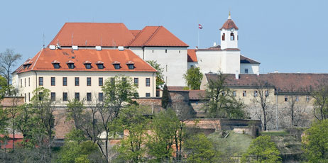 Pavel Kosek/Shutterstock.com