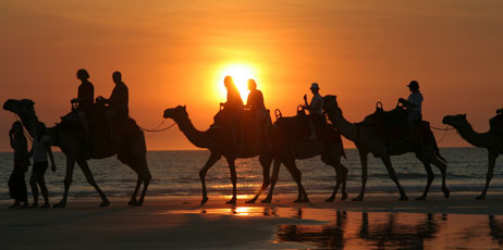 Peter Ingvorsen/Shutterstock.com