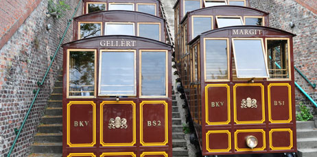 Karel Gallas/Shutterstock.com