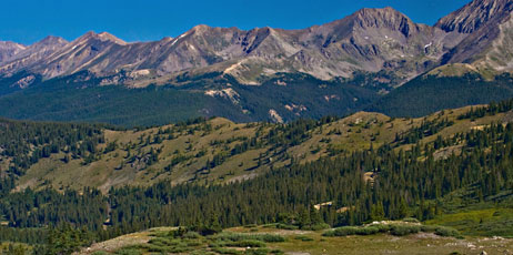 Paul Gana/Shutterstock.com