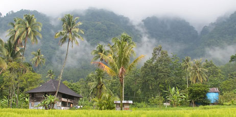 thoron/Shutterstock.com