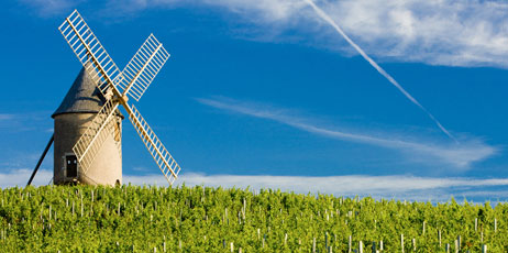 PHB.cz (Richard Semik)/Shutterstock.com