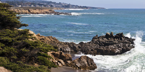 Bart Everett/Shutterstock.com