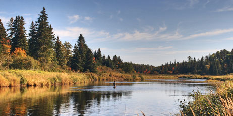 cappi thompson/Shutterstock.com