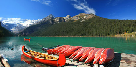 LaiQuocAnh/Shutterstock.com