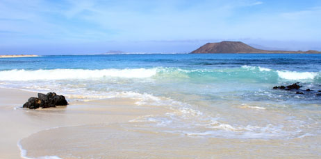Ana del Castillo/Shutterstock.com
