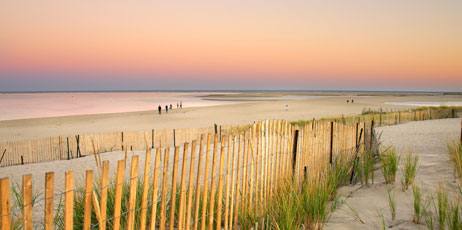 Chee-Onn Leong/Shutterstock.com