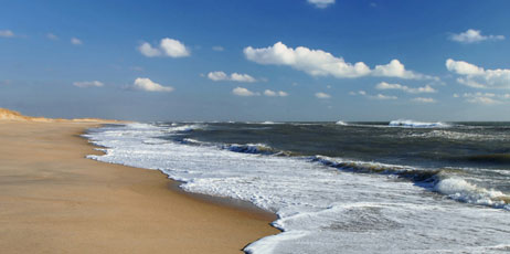 FloridaStock/Shutterstock.com