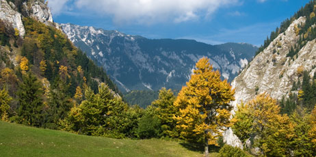 Emi Cristea/Shutterstock.com