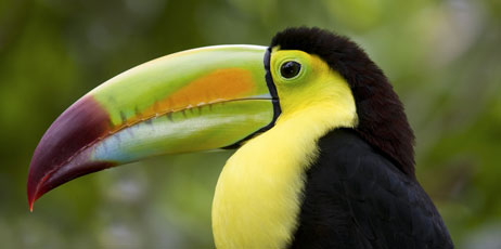 Jeff Grabert/Shutterstock.com