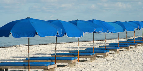 Jeff Kinsey/Shutterstock.com
