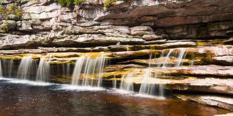 Vinicius Tupinamba/Shutterstock.com
