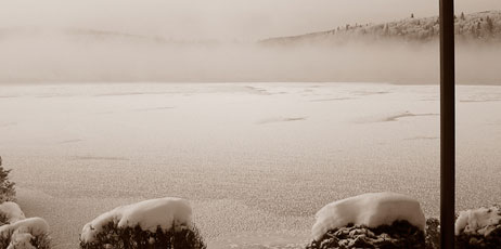 Pierdelune/Shutterstock.com